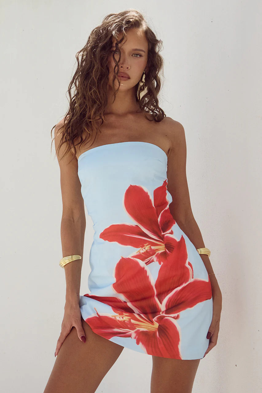 Summer Rose Mini Dress